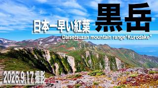 【日本一早い紅葉】北海道大雪山系「黒岳」 2026年 秋の最新紅葉状況🍁（Hokkaido Kurodake.Autumn foliage 2026.)