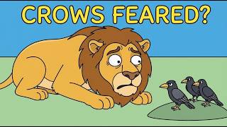 Why Do Apex Predators Fear Crows