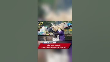 Nắng Nóng Thiêu Đốt: Tháng 8 Ghi Nhận Hàng Loạt Kỷ Lục Mới