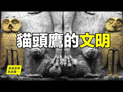 猫头鹰的文明：貓頭鷹身上到底有多少秘密……|自說自話的總裁