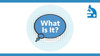 Algae Corner: Introducing the What Is It Mini-Series