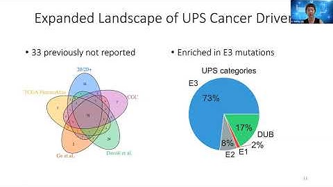 X. Shirley Liu, Computational modeling of protein degradation in tumors