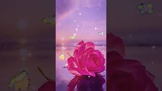 Aga Naga Aga Song Edit Whatsapp Statussubscribe