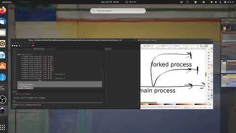 Forking Functions in SCAMP
