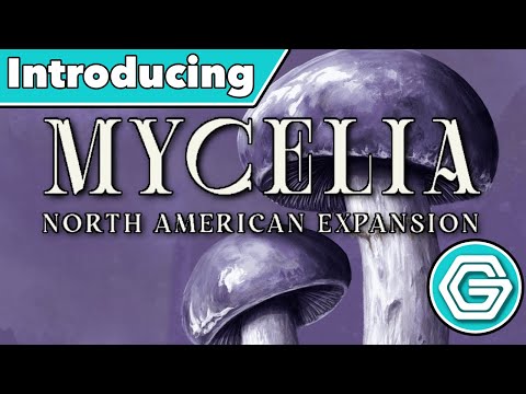 Introducing Mycelia: North American Expansion