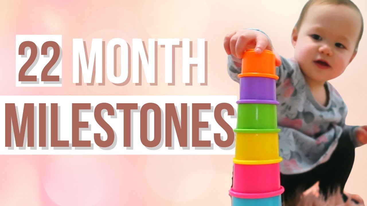 22 Month Developmental Milestones | What Your 22 Month Old Toddler Should Be Able To Do!