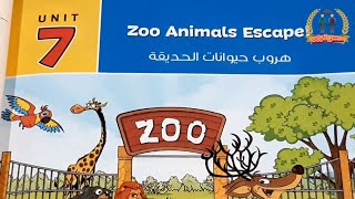 Unit 7 : Zoo Animals Escape | Focus & Practice Time | انجليزي الصف السادس الابتدائى ترم الثاني 2021