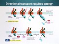 BIO201 Cell Biology Lecture No 155