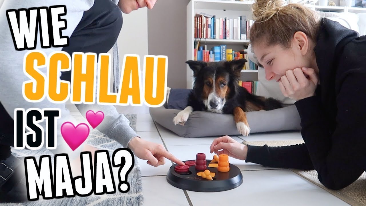 Unboxing, Hundespielzeug-Test und Hendriks Krise! - Vlog 117