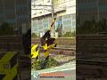 【踏切 電車】なにが通るかな???【ふみきりショート動画293】 #shorts