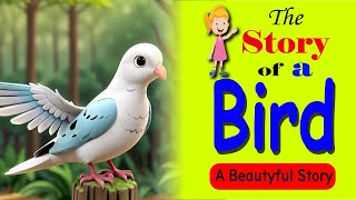 The story of a Bird  story for kids in English ।। cartoon story in English l l EMLY KIDS ZONE l l