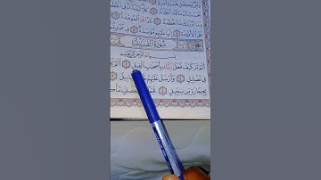 تلاوة تعليمية القرآن الكريم من سورة (الفيل) قرآن بصوت يريح القلب 🕌💐🌹
