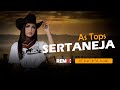 As tops sertaneja  eletronejo  sertanejo remix 2022  by dj batata cwb remix