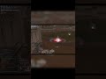GVG 1x1 Coliseum 800 gold = $20 fight 😆😆😆 (зашкварные будни скурфа)  https://discord.gg/4rTa8ZPCm
