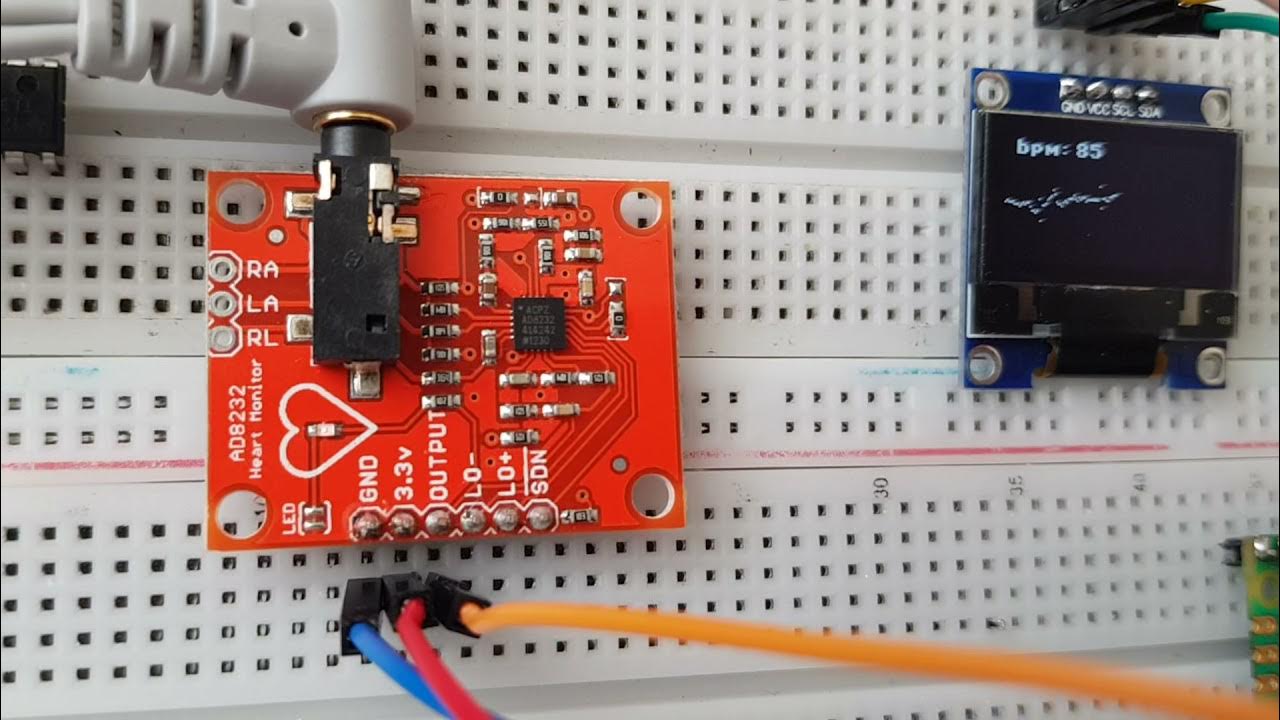 Raspberry pi pico ecg monitor & bpm - YouTube