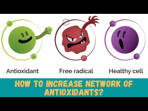 How to increase network of antioxidants?