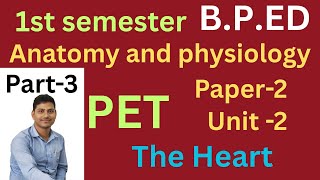 BPED physical education online classes 1st semester paper-2,unit-1. #physicaleducation. PET odisha.