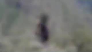 Kader Diyelim Gitsin