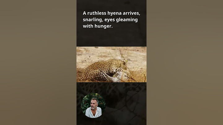 Leopard & Hyena Rip Warthog Apart While It’s Still Alive! 🐆🦴😱