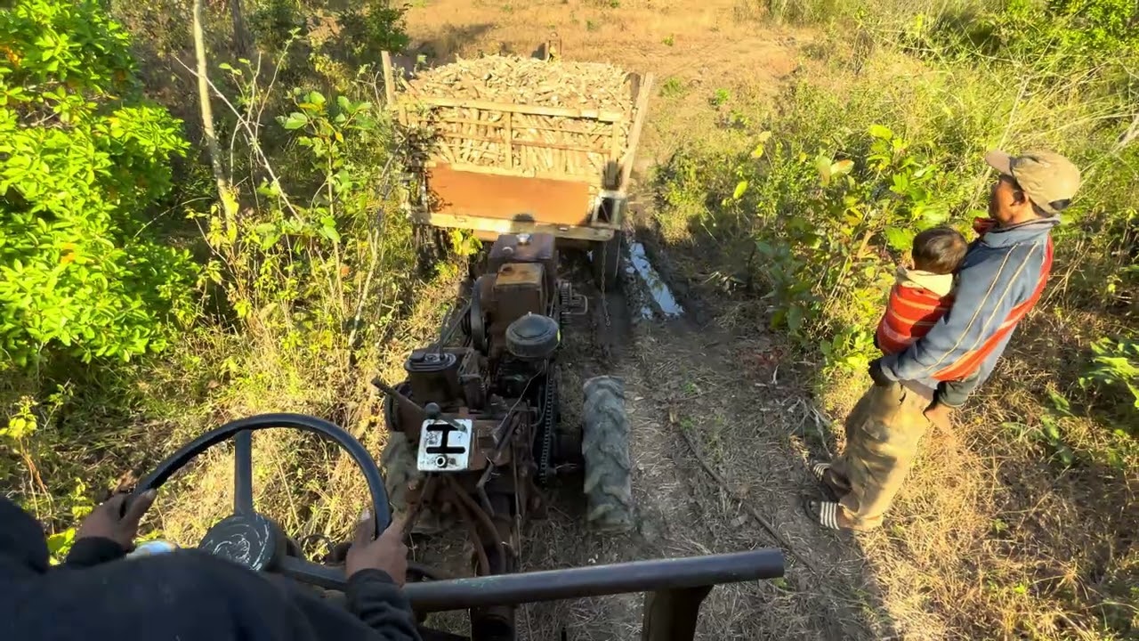 Xe công nông tại lực chở my tươi 