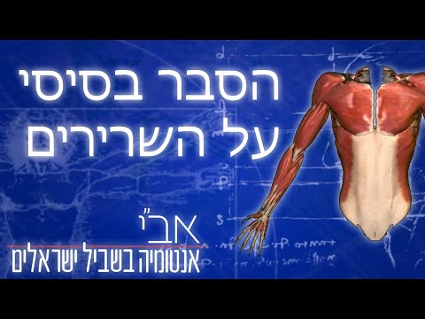 וִידֵאוֹ: האם שרירי השלד הם רצוניים?