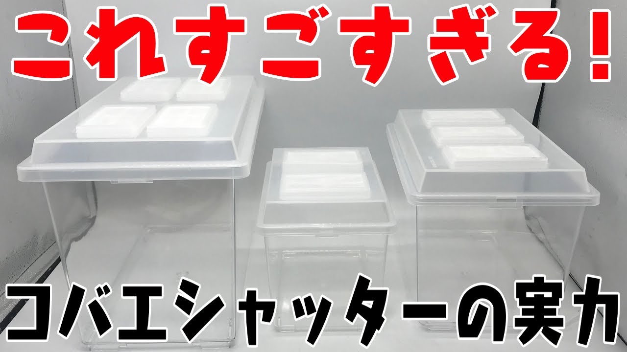 コバエさようなら！コバエシャッターがすごすぎる！大、中、小 レビュー【ダンゴムシ飼育】引越ししました！PILL BUGS