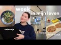 Weekvlog  tiktok recepten maken hobbies  verzamel shoplogs