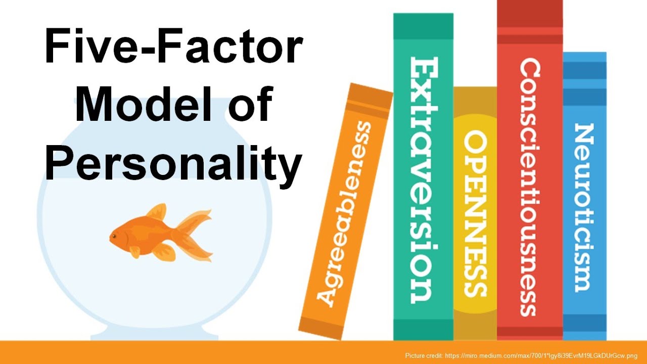 five-factor-model-of-personality-ocean-personality-test-in