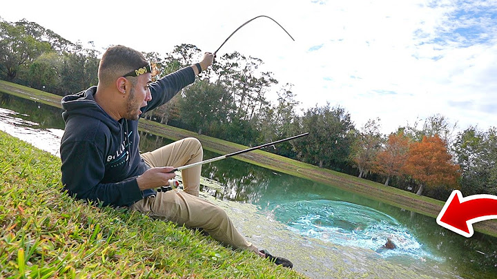 FUI TENTAR PESCAR MEU PEIXE MONSTRO PRO LAGO MAS O PIOR ACONTECEU...