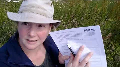 How to do a Flower-Insect Timed Count (FIT Count)