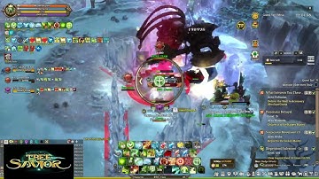 Tree of Savior Fedimian Support Guild Joint Strike, Singularity, Challenge Mode 22/08/2023