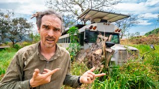 1 Year in the Jungle – Did Our Bus and Container Survive?