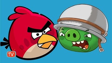 Angry Birds Go Daily Event Champions Racing Angry Birds Video Gameplay