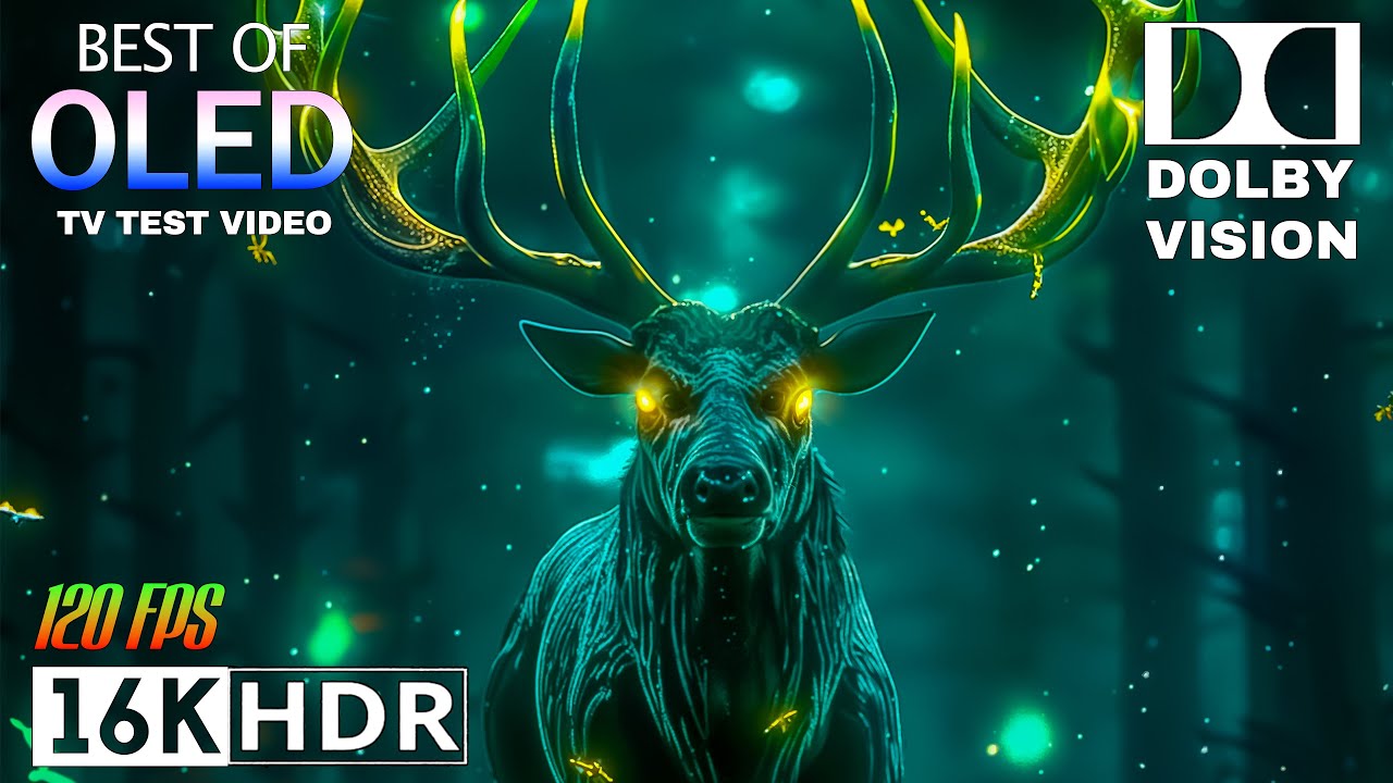 Experience The Ultimate Visuals: Dolby Vision 16k HDR 120fps at Maximum Brightness