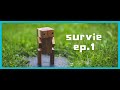 Survie minecraft 1