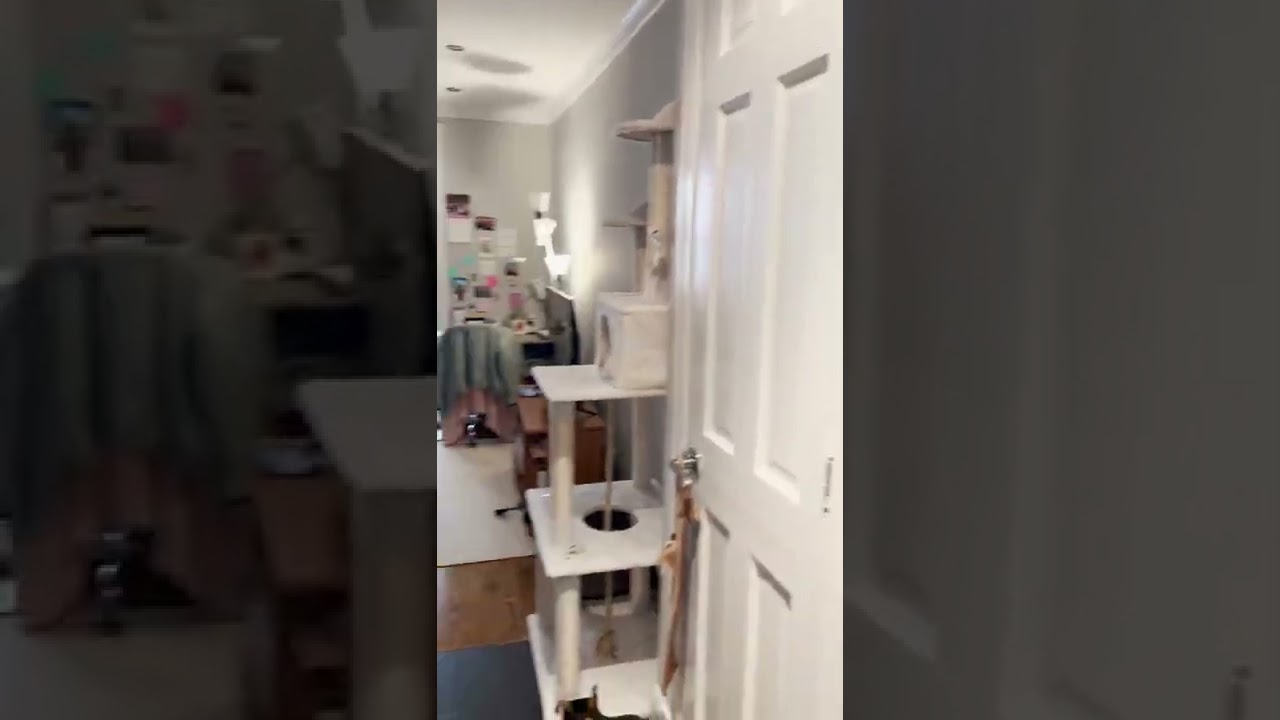 145 East 26th Unit 4A