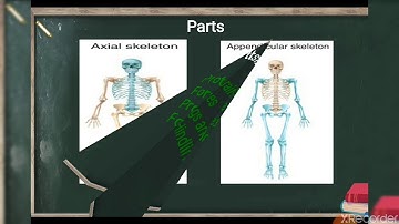 #CLASS #5 #SUBJECT #SCIENCE #CHAPTER #3 #SKELETAL #AND #MUSCULAR #SYSTEM #PART #1 #BY #MISS #PRIYA #