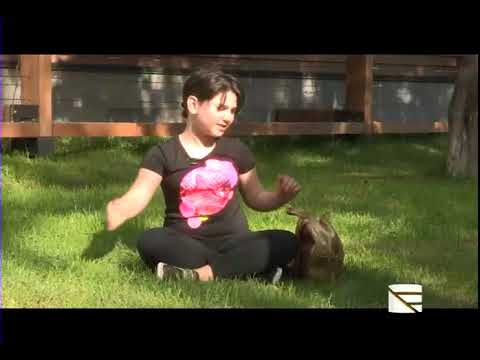 ჩიტის გალობა კომედი კიდს