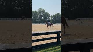 USDF Third level test 3