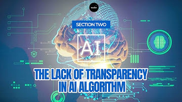 THE LACK OF TRANSPARENCY IN AI ALGORITHM || TECHMINDS