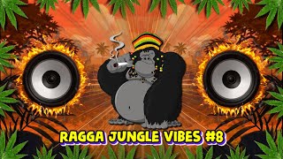 Ragga Jungle Drum Bass Vibes Reggae Dnb Mix
