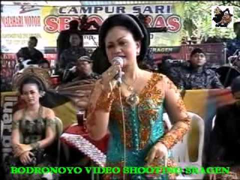 Cs. Seno Laras bowo langgam sewindu