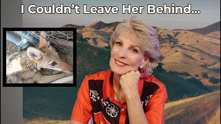 I Rescued an Injured Coyote | The Story of Flower & George Clooney