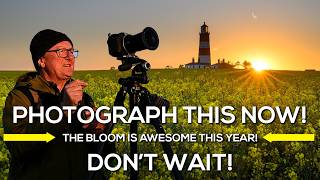 You MUST Photograph This NOW! | Happisburgh Lighthouse
