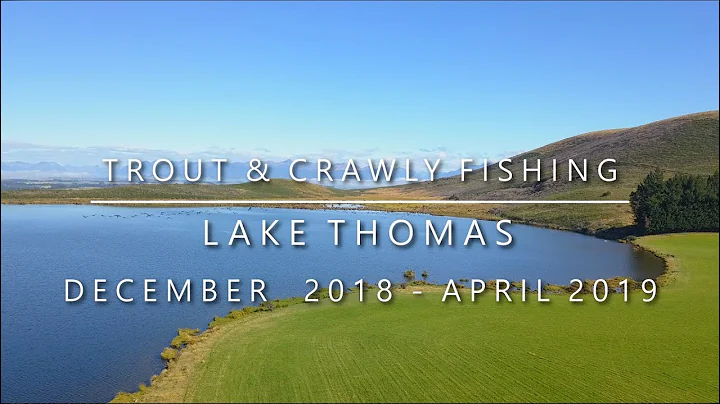 Lake Thomas Trout & Crawly Fishing - December 2018...
