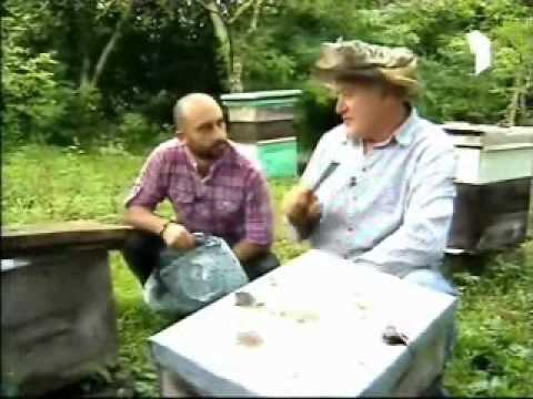 ფუტკრის პროდუქტები - Cveni Ferma 02 - Mefutkreoba Part 1