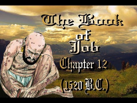 The Book of Job Chapter 12 - YouTube