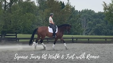 Square Turns At Walk & Trot with Romeo