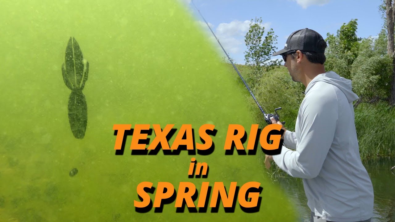 How to Fish a Texas Rig in the Spring w/ Bob Downey 