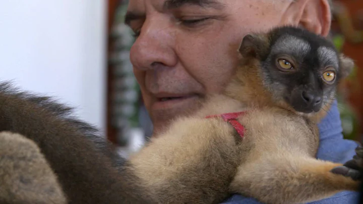 Dr. K's Exotic Animal ER